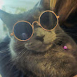 Meet your Posher, Regina